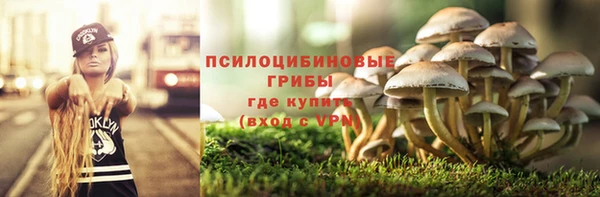 бошки Богородск