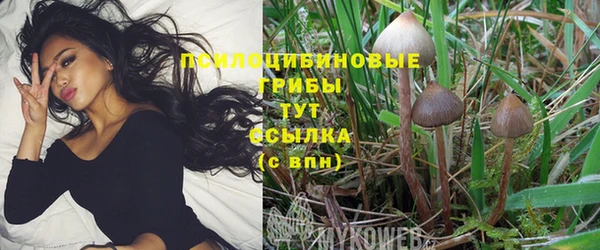 меф VHQ Богданович